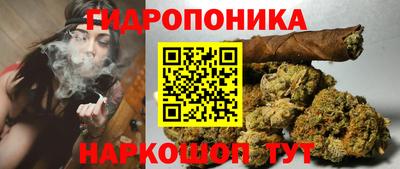 mdpv Лесосибирск