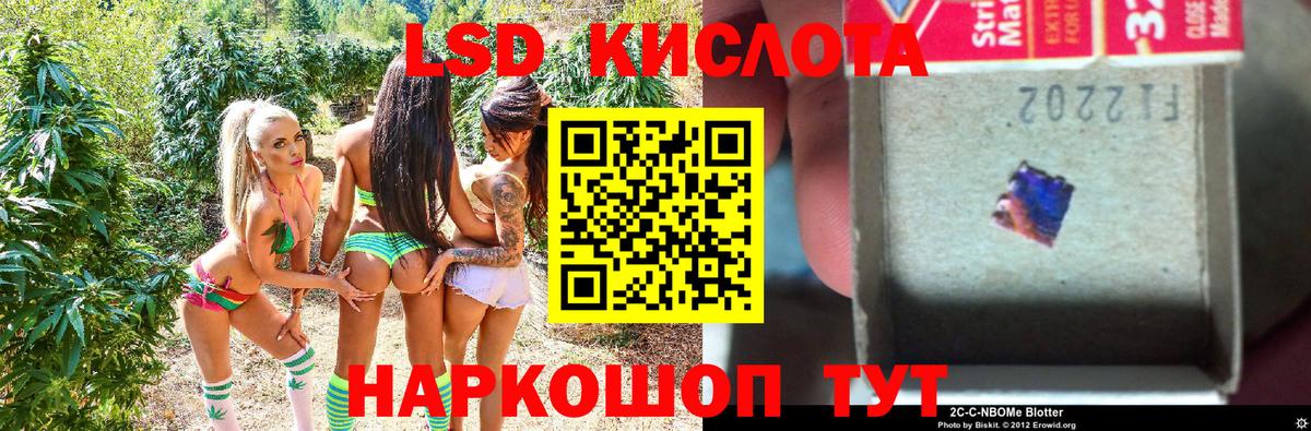 Марки N-bome 1,5мг  Марки N-bome 1,5мг  Вход с VPN  Светлоград 
