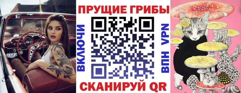 Псилоцибиновые грибы прущие грибы  Светлоград 